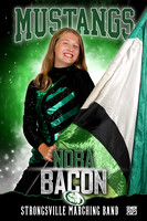 Marching Band Senior Banners